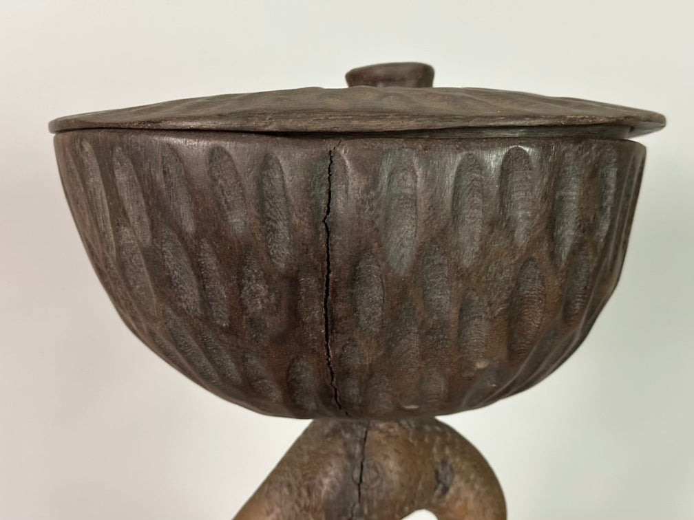 Senufo Contemporary Brown Covered Container-Top Hornbill Statue | 23" - Mali