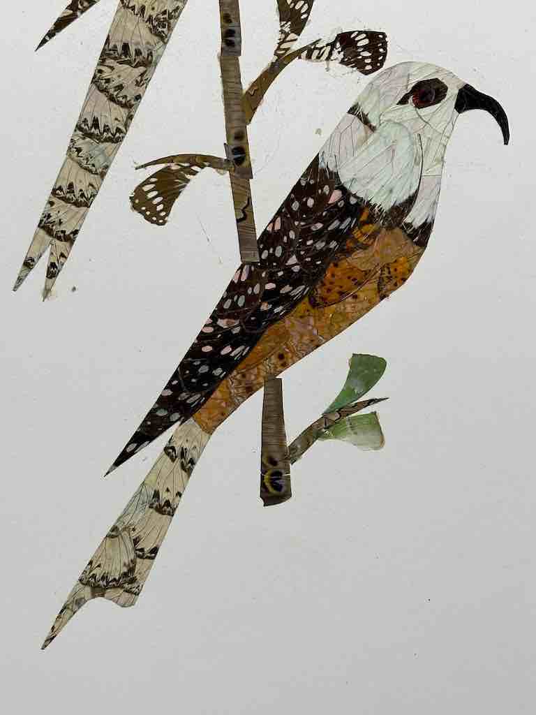 Two Tropical Birds Design Real Butterfly Wing Frameable Art - Central African Republic