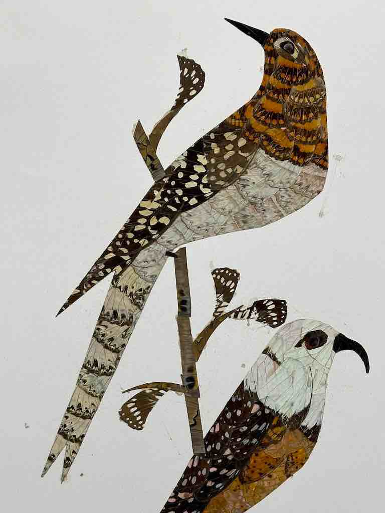 Two Tropical Birds Design Real Butterfly Wing Frameable Art - Central African Republic