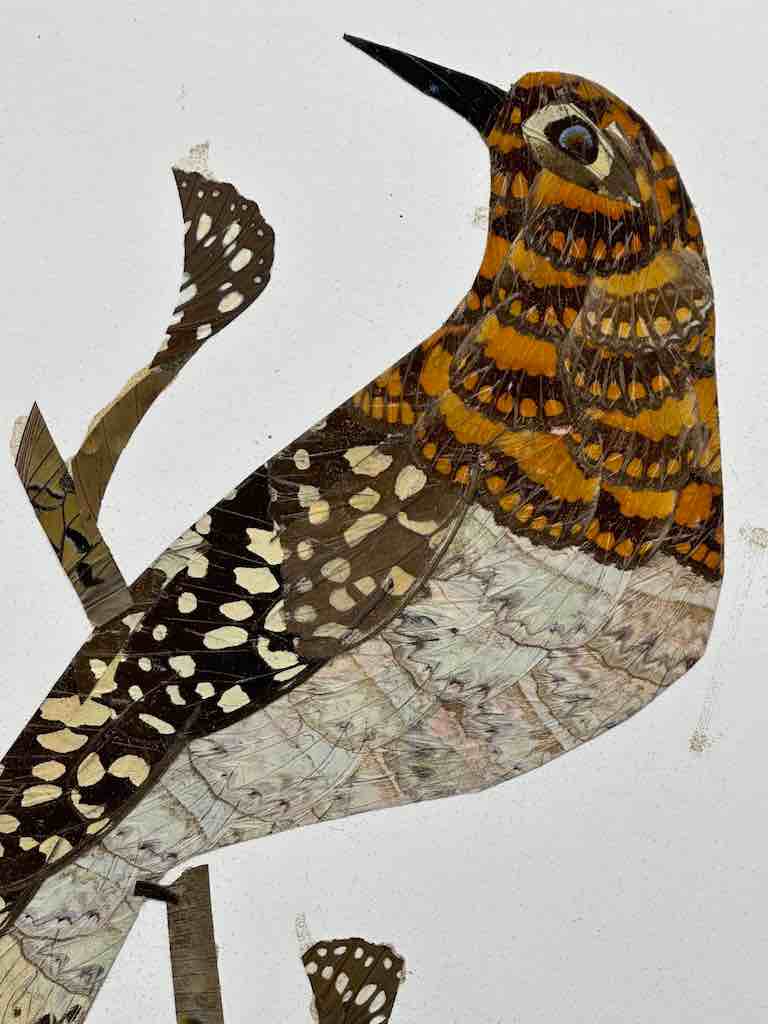 Two Tropical Birds Design Real Butterfly Wing Frameable Art - Central African Republic
