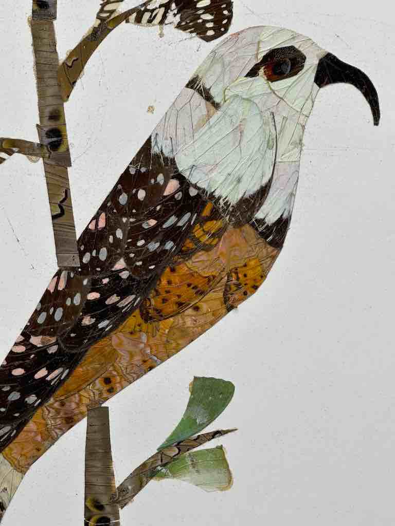 Two Tropical Birds Design Real Butterfly Wing Frameable Art - Central African Republic
