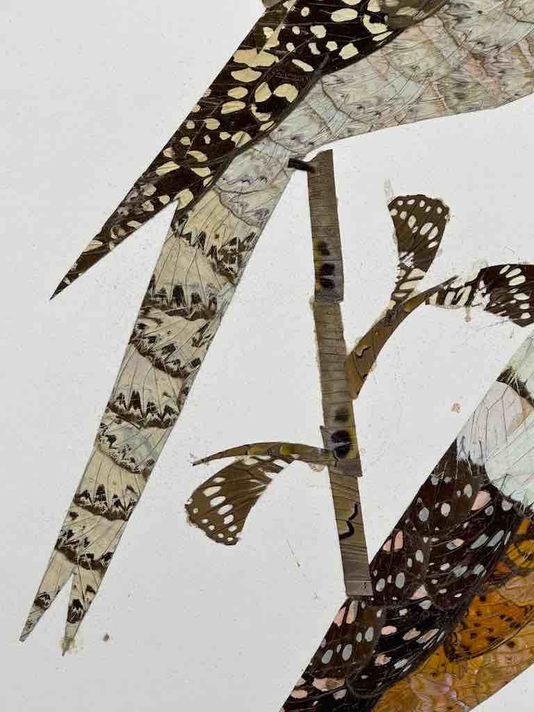 Two Tropical Birds Design Real Butterfly Wing Frameable Art - Central African Republic