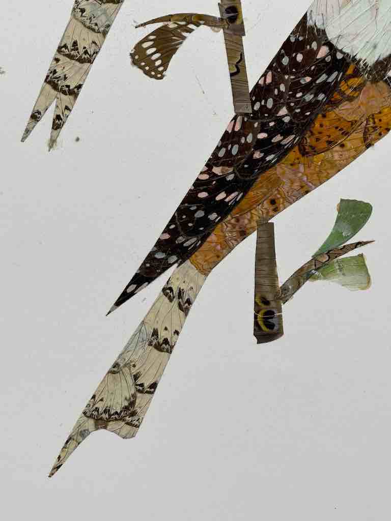 Two Tropical Birds Design Real Butterfly Wing Frameable Art - Central African Republic