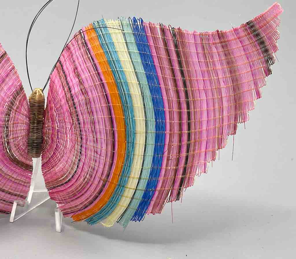 Horsehair Butterfly - Chile