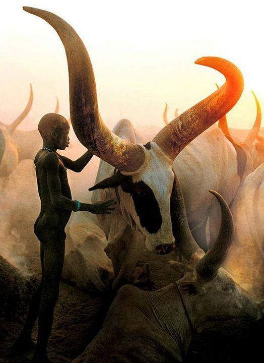 Black w/ White Whisps Small Ankole Cattle Horn Cup - Uganda