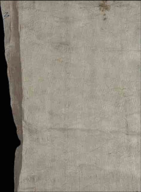 Natural "White" Bark Cloth - Uganda | 77 x 45"