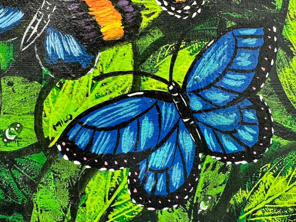 Original Tropical Butterflies Painting on Canvas from El Salvador