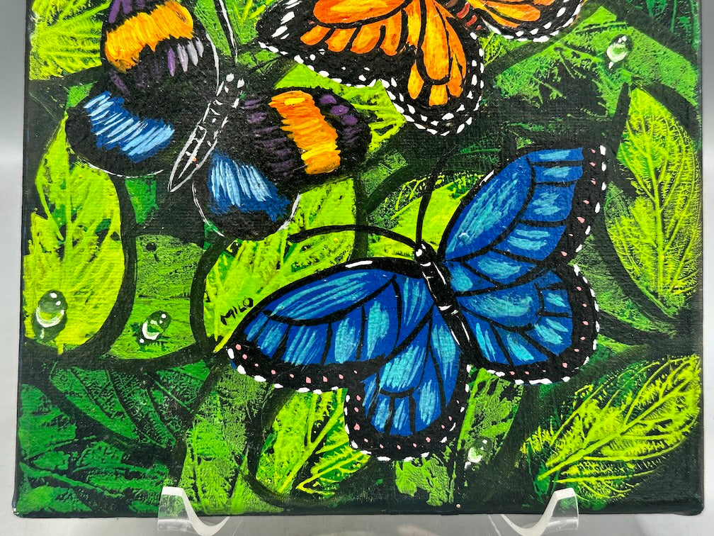 Original Tropical Butterflies Painting on Canvas from El Salvador