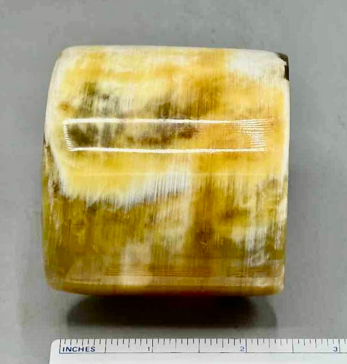 Cream & Caramel Wide Ankole Cattle Horn Bracelet - Viet Nam