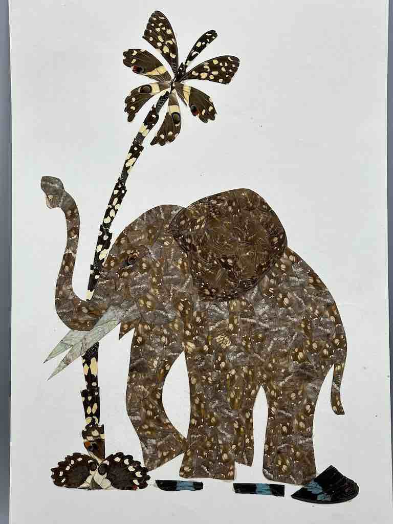 Elephant Design Real Butterfly Wing Frameable Art - Central African Republic