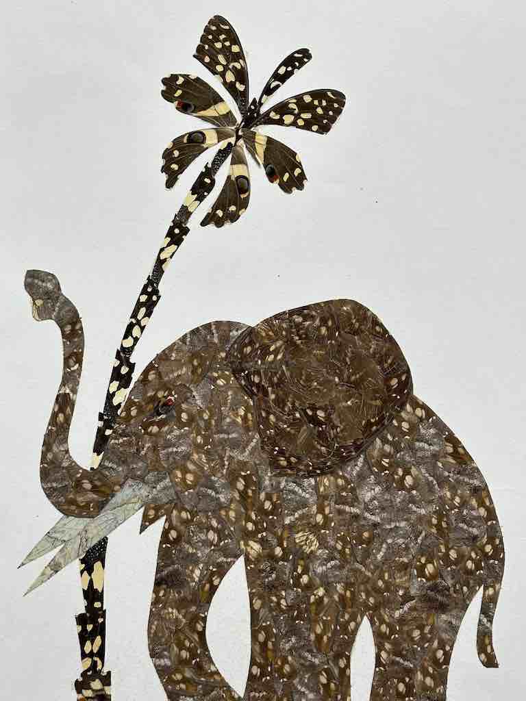 Elephant Design Real Butterfly Wing Frameable Art - Central African Republic