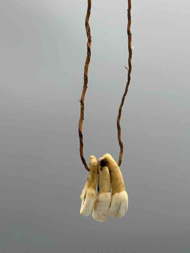 Triple Goat Tooth GriGri Single Natural Leather Cord Necklace - Mali