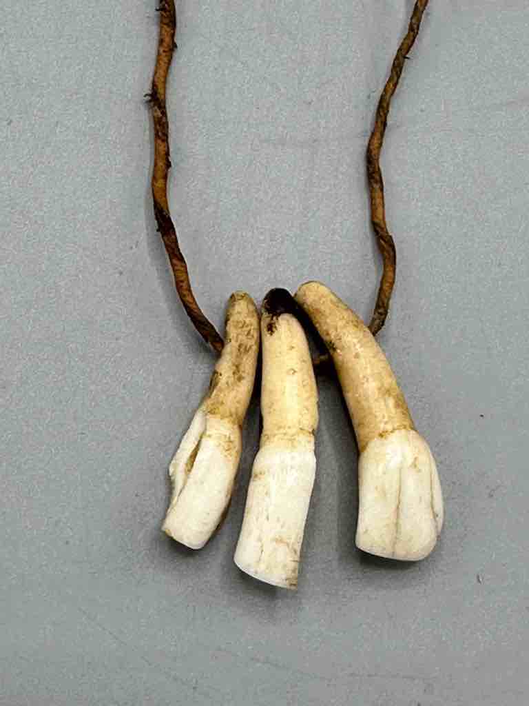 Triple Goat Tooth GriGri Single Natural Leather Cord Necklace - Mali