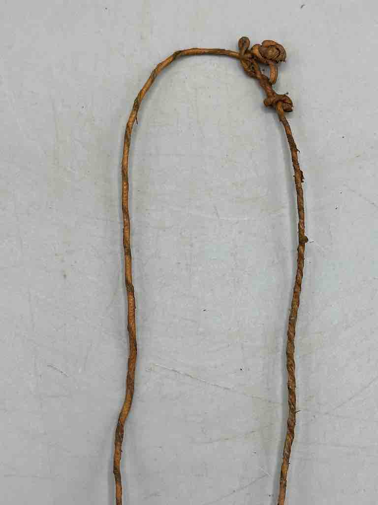 Triple Goat Tooth GriGri Single Natural Leather Cord Necklace - Mali