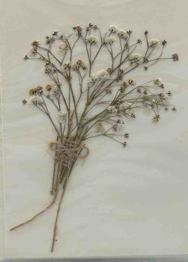 Handmade Pressed Dried Real Flower Greeting Card - Floral Bouquet