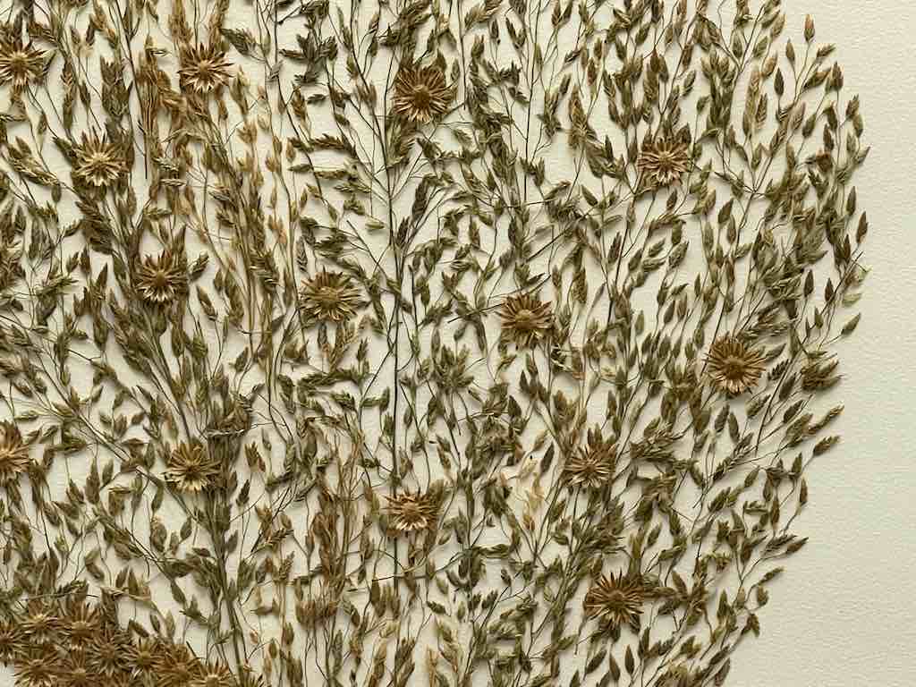 Large Handmade Pressed Dried Real Flower Framed Collage - Floral Hairdo