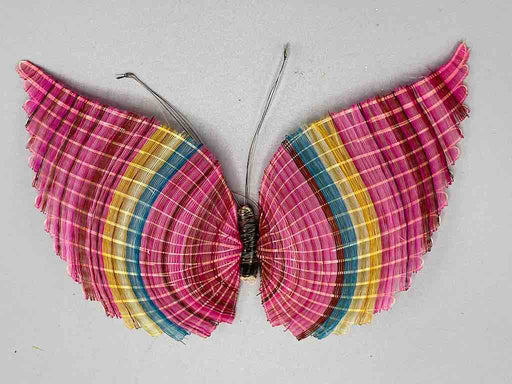 Horsehair Butterfly - Chile