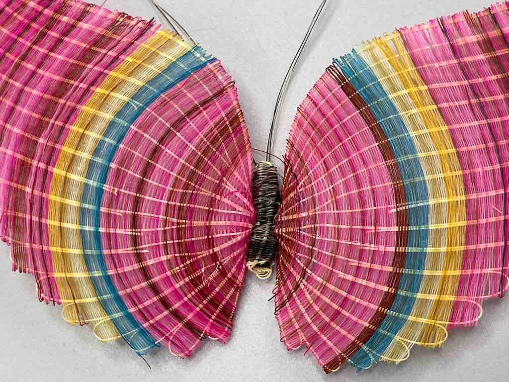 Horsehair Butterfly - Chile