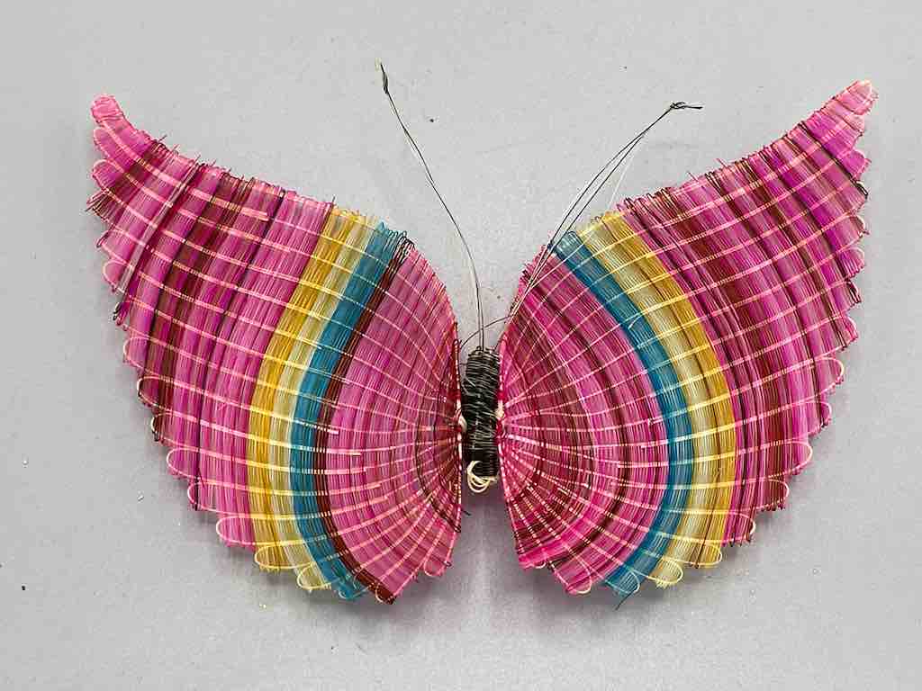 Horsehair Butterfly - Chile