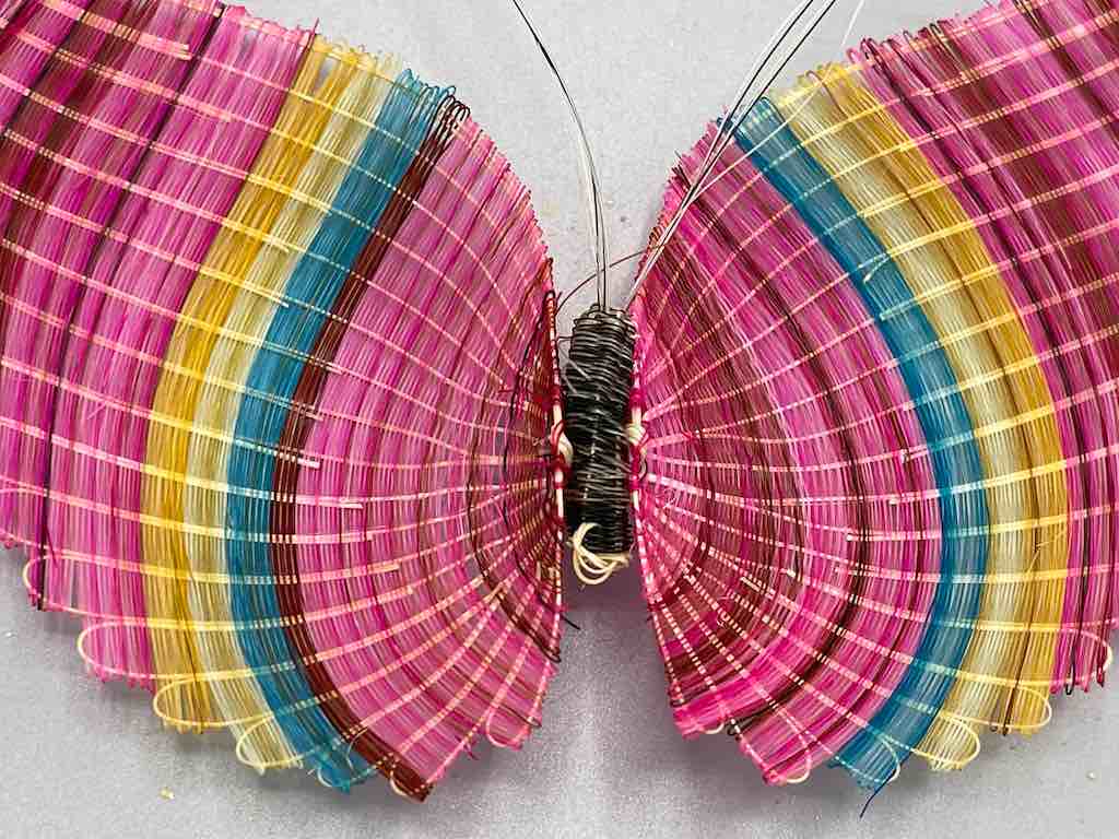 Horsehair Butterfly - Chile