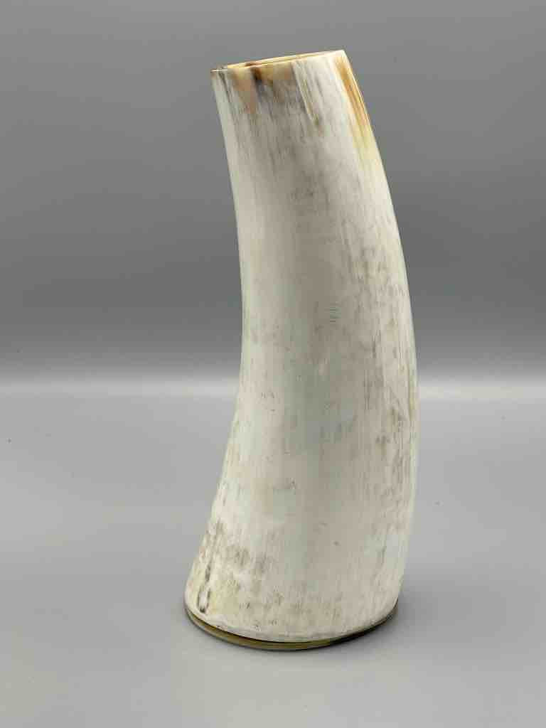 White short cow horn vase - Uganda