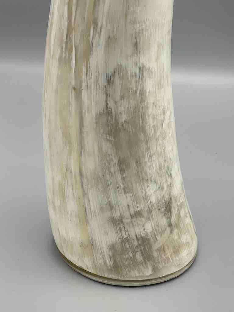 White short cow horn vase - Uganda