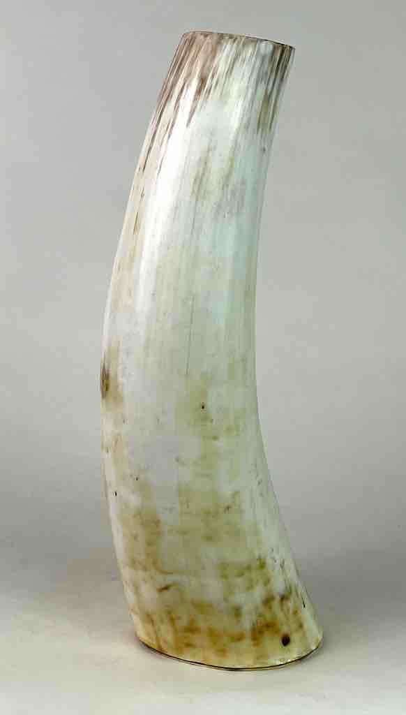 White tall cow horn vase - Uganda