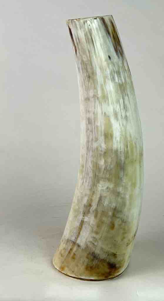 White tall cow horn vase - Uganda