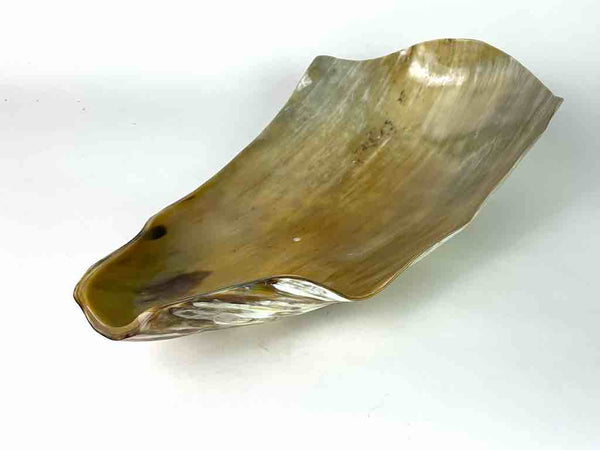 Large Ankole Cattle Horn Caramel Color Bowl - Uganda | 19" x 11"